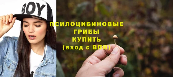 таблы Бородино