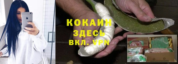 таблы Бородино