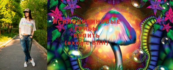 таблы Бородино
