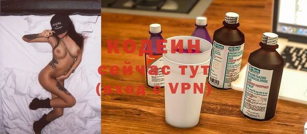 таблы Бородино