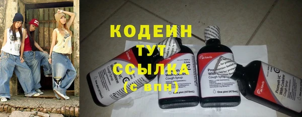 таблы Бородино